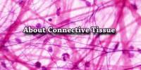 About Connective Tissue