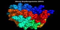 About Erythropoietin (EPO)