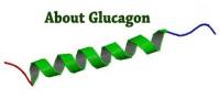 About Glucagon