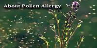 About Pollen Allergy