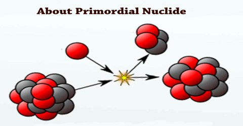 About Primordial Nuclide