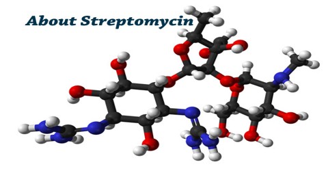 About Streptomycin
