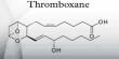 About Thromboxane