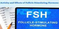 Activity and Effects of Follicle Stimulating Hormone