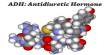 ADH: Antidiuretic Hormone