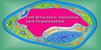 Cell Structure, Function and Organisation