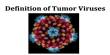 Definition of Tumor Viruses