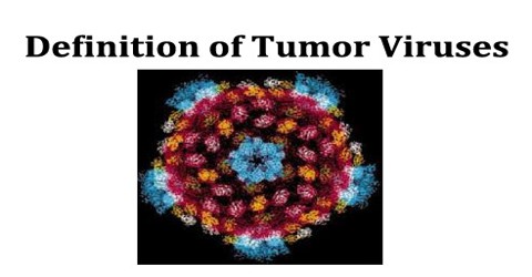 Definition of Tumor Viruses