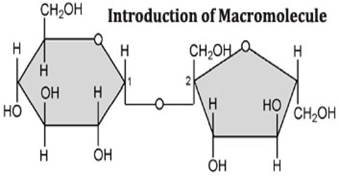 Introduction of Macromolecule