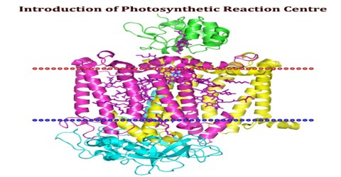 Introduction of Photosynthetic Reaction Centre