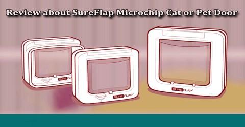 Review about SureFlap Microchip Cat or Pet Door