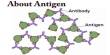 About Antigen