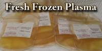 FFP: Fresh Frozen Plasma