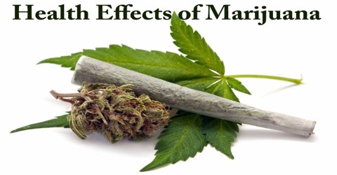 Health Effects of Marijuana