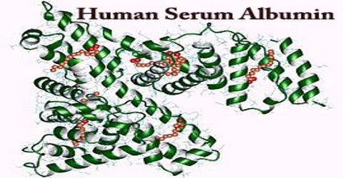 HSA: Human Serum Albumin
