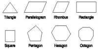 Polygons: Definition and Types