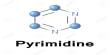 Pyrimidine