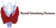 TSH: Thyroid Stimulating Hormone
