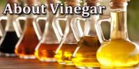 About Vinegar