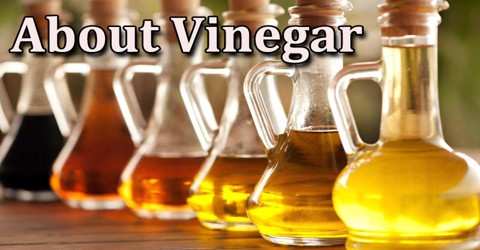 About Vinegar