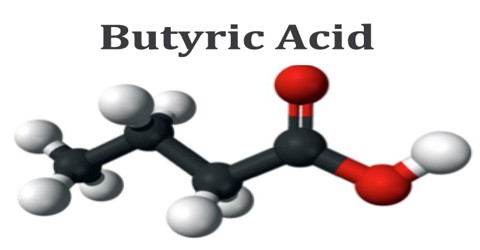 Butyric Acid Attack