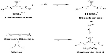 Polyatomic Ion - Assignment Point