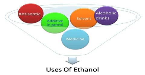 Uses Of Ethanol Assignment Point