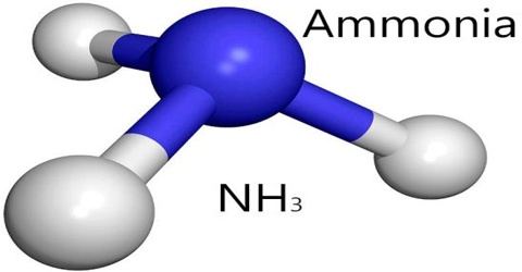 About Ammonia