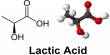 About Lactic Acid
