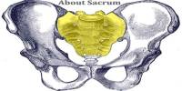 About Sacrum
