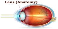 Lens (Anatomy)