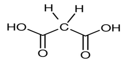 Malonic Acid - Assignment Point