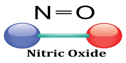 Effects and Uses of Nitric Oxide - Assignment Point