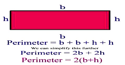 How to Calculate the Perimeter of a Rectangle?