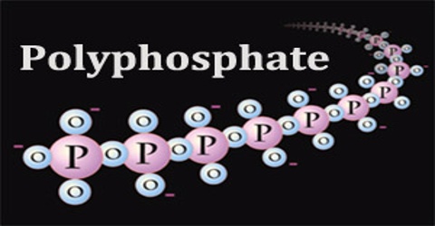 Polyphosphate