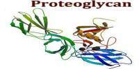 Proteoglycan