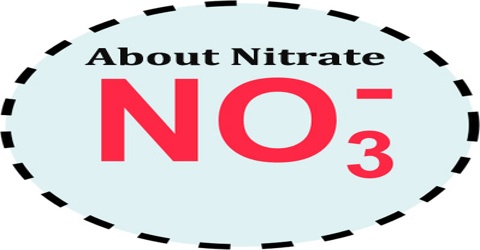 About Nitrate
