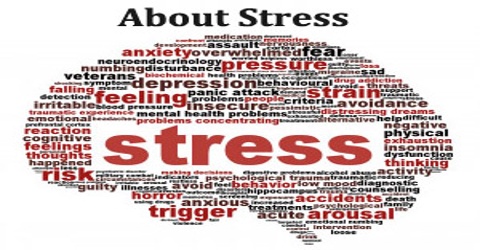 About Stress