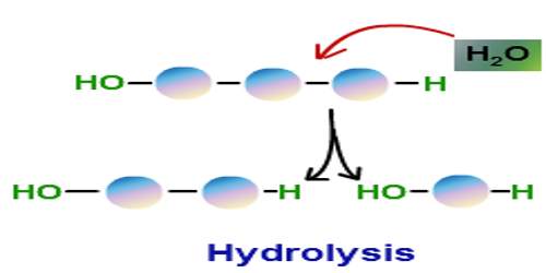 It is such water. Hydrolysis gif. Hydrolysis of waste.