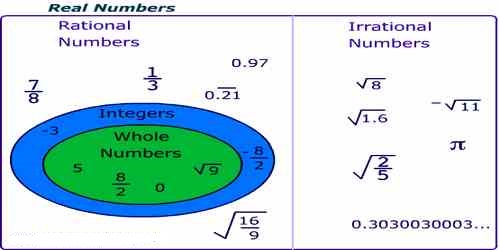 Rational Numbers - Assignment Point