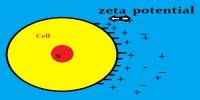 Zeta Potential