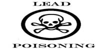 Lead Poisoning in Human Body