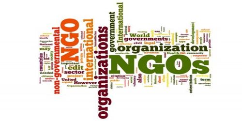 Non-governmental Organizations - Assignment Point