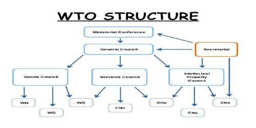 assignment on wto