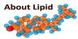 About Lipid