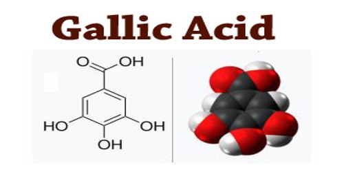 Gallic Acid