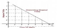 Assumptions and Importance of Law of Diminishing Marginal Utility