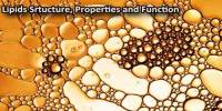 Lipids Srtucture, Properties and Function