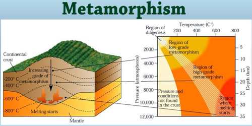 metamorphism-assignment-point