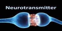 About Neurotransmitter